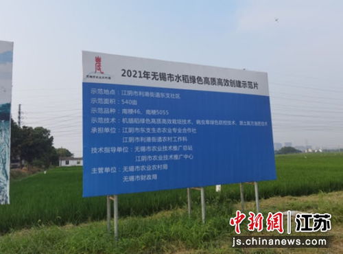 江陰 綠色防控引入 利器 農(nóng)產(chǎn)品更綠色更安全